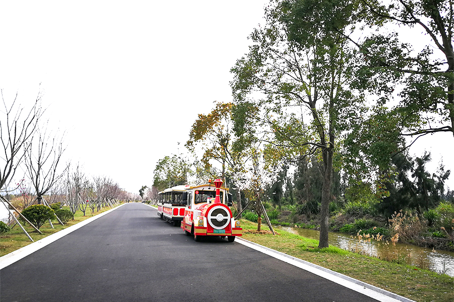 Carrozza semichiusa 28 elegante grande treno turistico senza binari