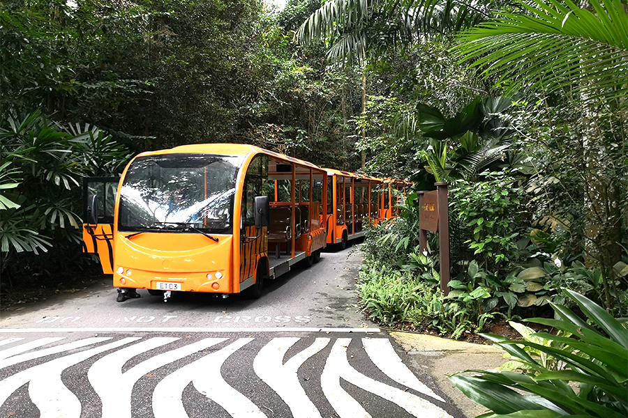 Modello aperto elettrico di tipo I con carro turistico a sezione rimorchio