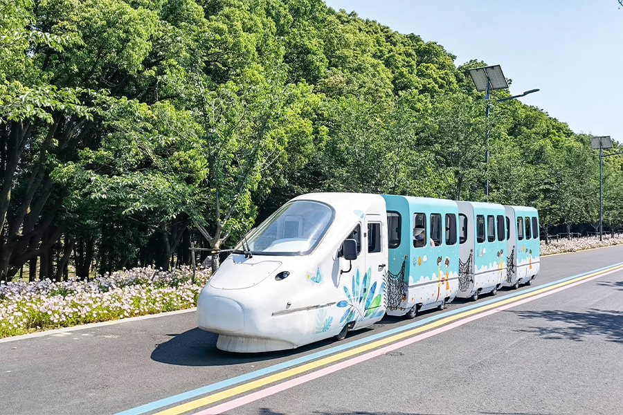 Treni della serie EMU Park Cruise