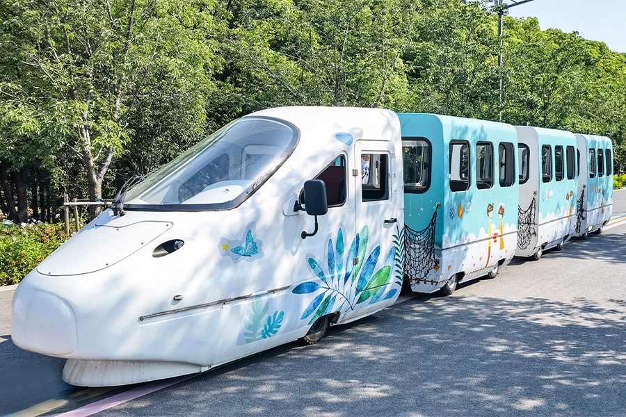 Treni della serie EMU Park Cruise