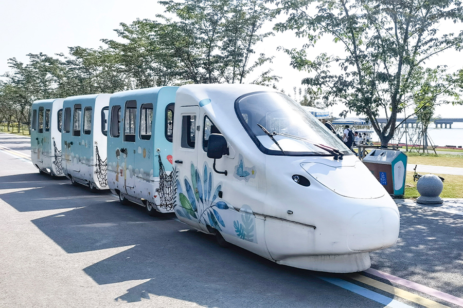 Treni della serie EMU Park Cruise