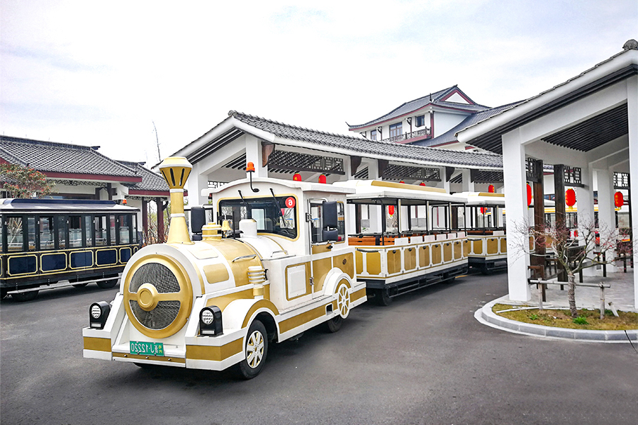 Carrozza semichiusa 28 elegante grande treno turistico senza binari