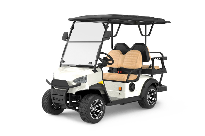 Carrello da golf elettrico C2+2